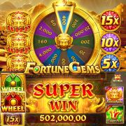 timbet com